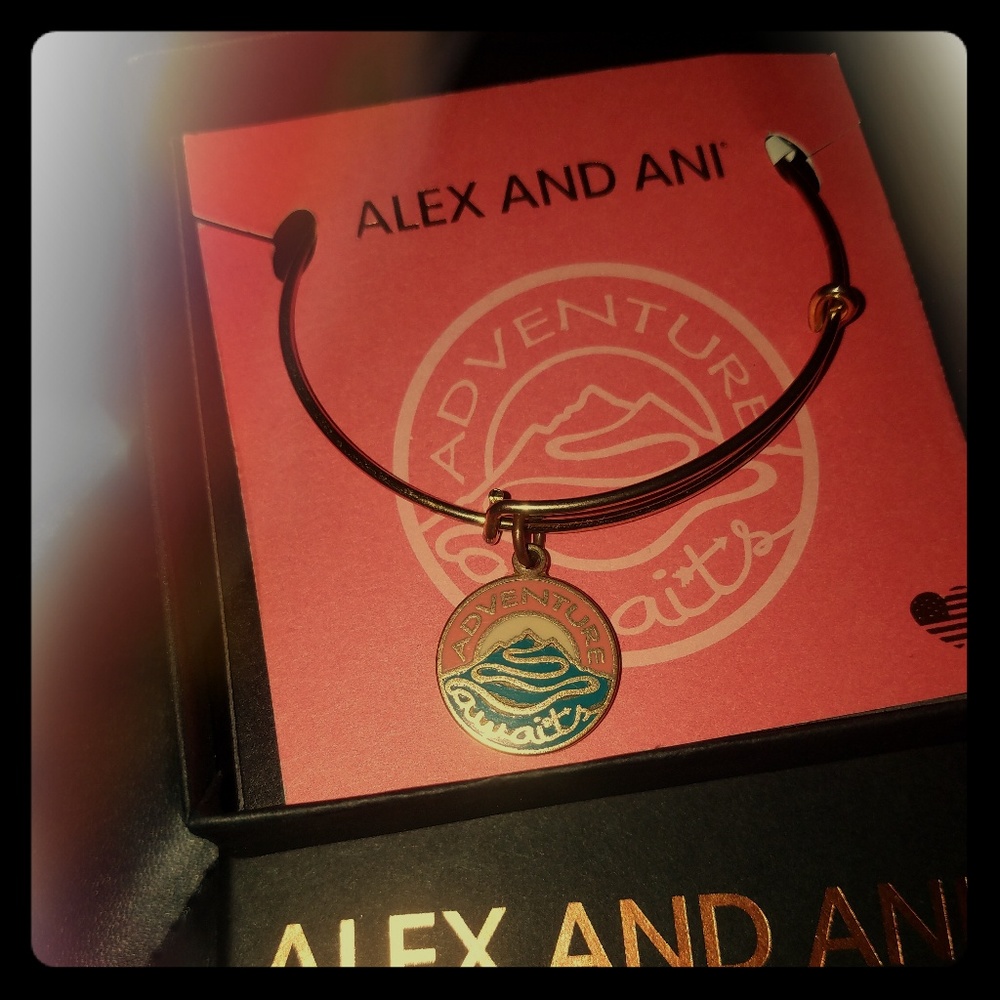 Adventure Awaits Alex and Ani bangle